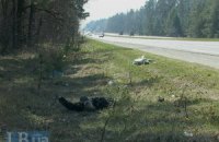 На трасі Київ-Чернігів виявлено труп чоловіка