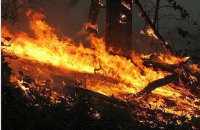 В Сибири горит 3 млн га лесов, но их не тушат из-за нехватки денег