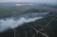 Лісову пожежу в Херсонській області локалізовано
