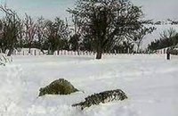 В Италию пришли аномальные холода