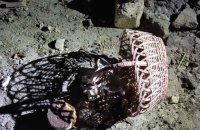 Унаслідок російського обстрілу в Миколаївській області загинув 17-річний хлопець і 18-річна дівчина (оновлено)