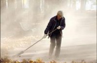 В Днепродзержинске палые листья превратят в удобрение