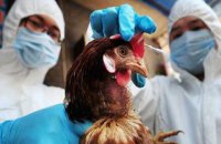 У Китаї зафіксували перший у світі випадок зараження людини пташиним грипом H10N3