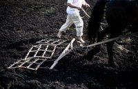 В Украине вступил в силу закон о зембанке