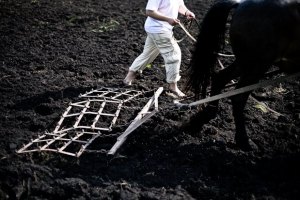 Иностранцы получили доступ к украинской земле