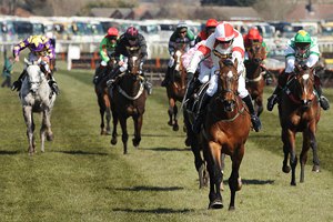Защитники лошадей едва не сорвали Grand National