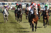 Защитники лошадей едва не сорвали Grand National