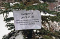 У Києві хвойні дерева почали обробляти репелентами