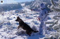 Прикордонники затримали чергову групу нелегальних втікачів