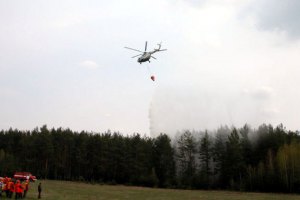 В Чернобыльской зоне горит 320 га леса (обновлено)