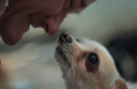 Харизма більша від хронометражу: «Все має жити» на Docudays
