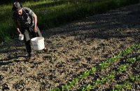 В течение 5 лет продать землю будет практически невозможно