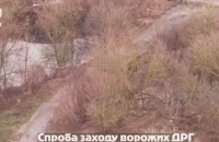 Бійці Нацгвардії знищили штурмові групи росіян на Куп'янському напрямку