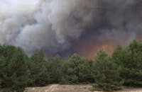 Cередня площа лісової пожежі в Україні зросла в 7 разів
