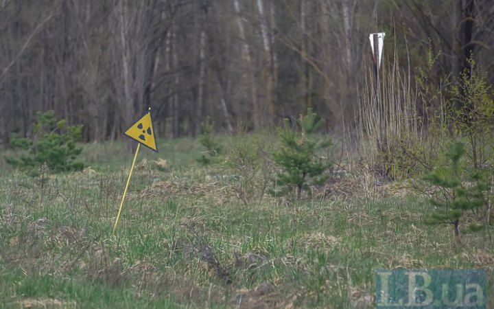 ​Російські окупанти зайшли в Чорнобильський Рудий ліс без захисту і підняли радіоактивний пил, - Rеuters