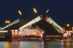 В Петербурге приняли закон, запрещающий "топот котов"
