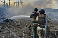 Окупанти атакували аграрне підприємство на Чернігівщині, постраждали тварини