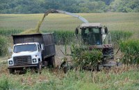 Чикагская биржа запустит торги фьючерсами на украинскую кукурузу