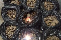 На Львовщине обнаружили самую крупную контрабанду янтаря с начала года