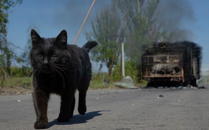 Вчора армія РФ втратила 1700 солдатів та 74 артилерійські системи