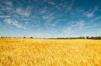 Asstrа: полный комплекс по организации жд перевозок вагонами-зерновозами