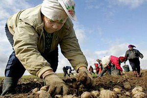 В Белоруссии повысят пенсии на 13,7%