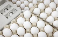 Держпродспоживслужба: Україна цьогоріч відкрила 29 нових напрямків аграрного експорту