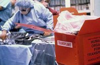 Врачей из Шалимова обвинили еще и в торговле людьми​