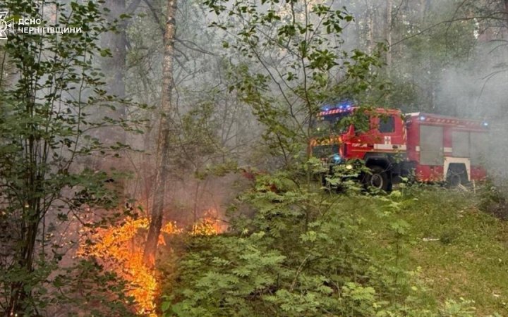 У Чернігівській області внаслідок падіння дрона сталася пожежа в екосистемі