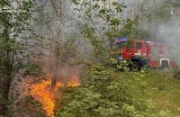У Чернігівській області внаслідок падіння дрона сталася пожежа в екосистемі