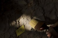 Во Франции нашли древнейшие наскальные рисунки