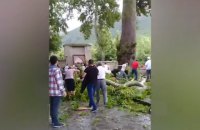 В Азербайджане упала ветвь 500-летнего дерева и придавила 19 человек