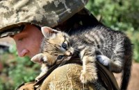 Понад 90% українських громадян довіряють військовим та ветеранам, – соціологи