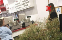 В США женщина вернула в магазин рождественскую елку, потому что "дерево умерло"