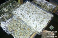 Запорожские патрульные нашли лабораторию по выращиванию галлюциногенных грибов 