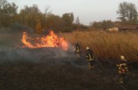 Рада создала ВСК по расследованию причин пожаров в Луганской области