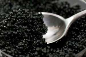Записки режиссера. 4 символа: Икра  