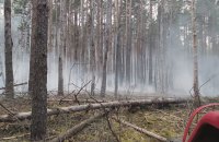 У Чорнобильській зоні зафіксували п'ять пожеж, їх вдалося загасити