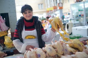 Госветслужба запретила ввоз птицы из Никарагуа