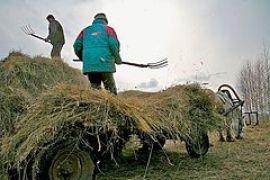 Нам бы немножко НДСика – а так мы тоже за соборность...