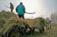 Нам бы немножко НДСика – а так мы тоже за соборность...