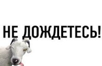 Представители LiveJournal возмутились сообщением об уменьшении аудитории