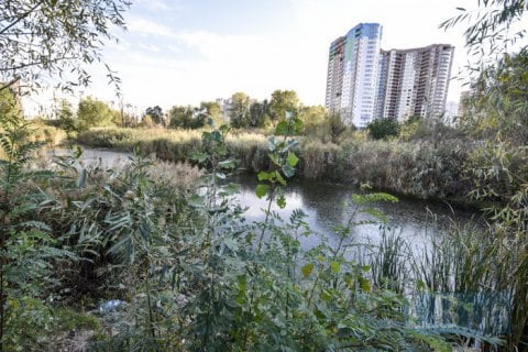 Озеро Качине в Киеве собираются застроить тремя высотками, чтобы "создать оазу"