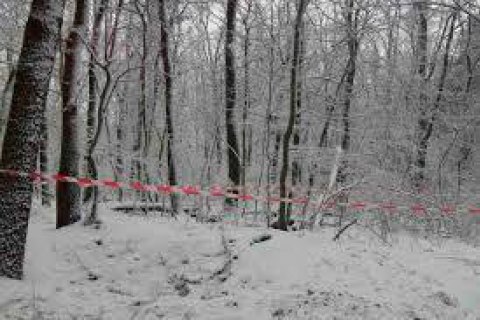 Во Львовской области в лесу мертвыми нашли двух мужчин