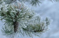 У неділю синоптики прогнозують невеликий сніг і ожеледицю
