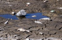 Глобальне потепління вперше протягом цілого року перевищило 1,5°C, − кліматична служба ЄС 