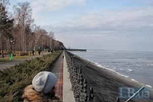 Суд посадил главу Госводагентства под домашний арест из-за "Межигорья"