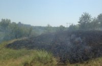 Директор "Хортицы" просит усилить охрану заповедника из-за поджогов
