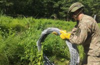 Литва почала будувати паркан з колючого дроту на кордоні з Білоруссю