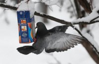 У четвер у більшості областей України прогнозують шквальні пориви вітру й ожеледь